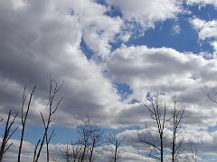 clouds (223)